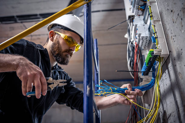 Best Electric Panel Repair  in Zapata, TX